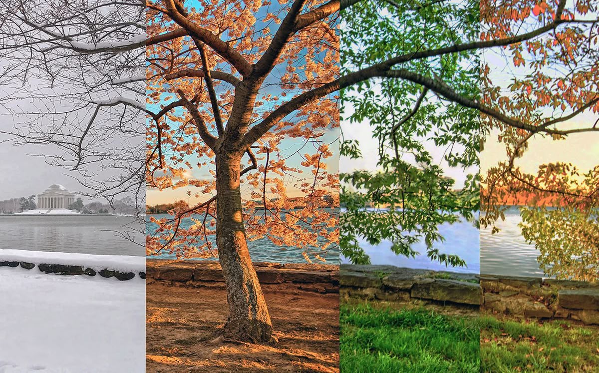 Read more about the article Kopriva Nikolett: Tavasz, nyár, ősz, tél – A Silentium oldalain